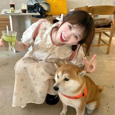 猫城